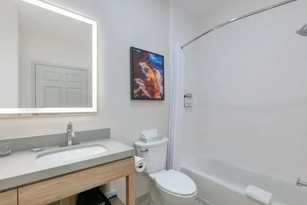 Süit, 1 Yatak Odası (1 King Bed, Sofa Bed)