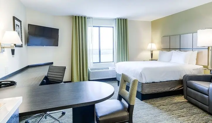 Stüdyo Süit, 1 Büyük (Queen) Boy Yatak