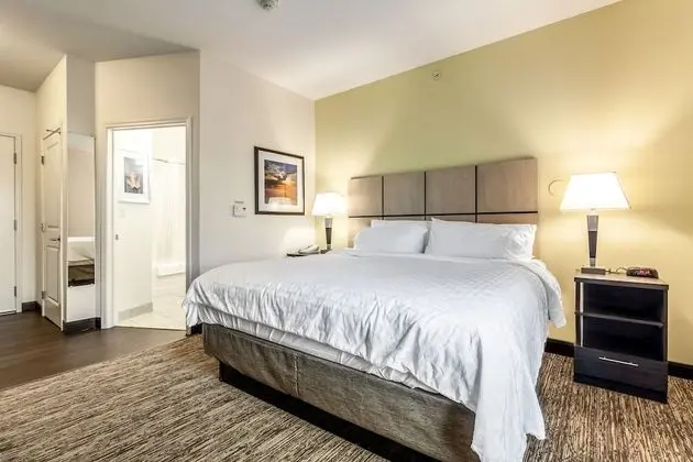 Stüdyo Süit, 1 En Büyük (King) Boy Yatak