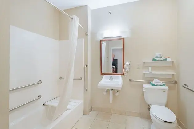 Stüdyo Süit, 1 Büyük (Queen) Boy Yatak, Engellilere Uygun (Communication, Accessible Tub)
