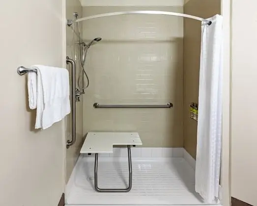 Stüdyo Süit, 1 Büyük (Queen) Boy Yatak, Engellilere Uygun (Communication, Roll-In Shower)