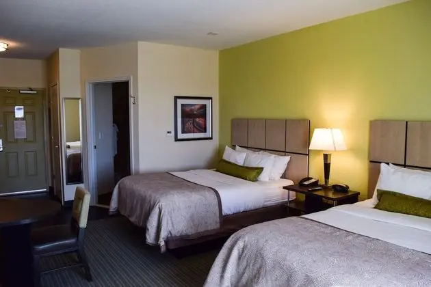 Stüdyo Süit, 2 Büyük (Queen) Boy Yatak, Engellilere Uygun (Communication Accessible)