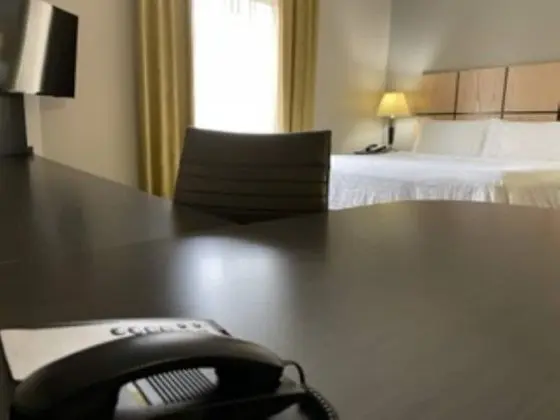Stüdyo Süit, 1 En Büyük (King) Boy Yatak