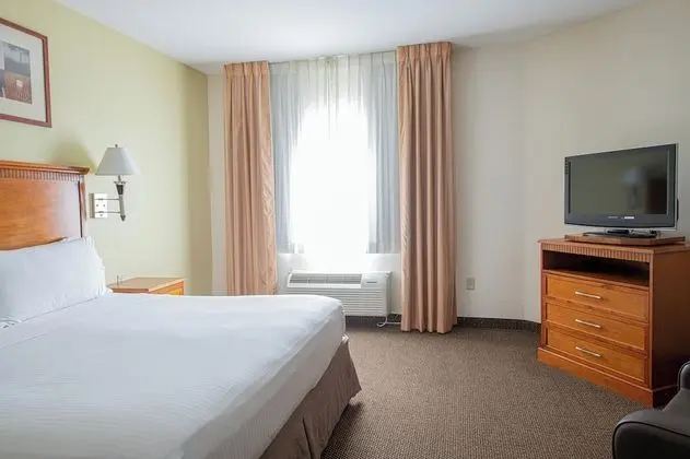 Stüdyo Süit, 1 En Büyük (King) Boy Yatak