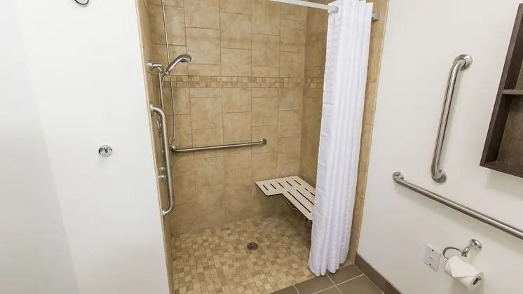 Stüdyo Süit, 1 Büyük (Queen) Boy Yatak, Engellilere Uygun (Mobil Roll In Shwr)
