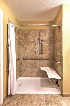 Stüdyo Süit, 1 Büyük (Queen) Boy Yatak, Engellilere Uygun (Communication, Mobil Roll-In Shower)