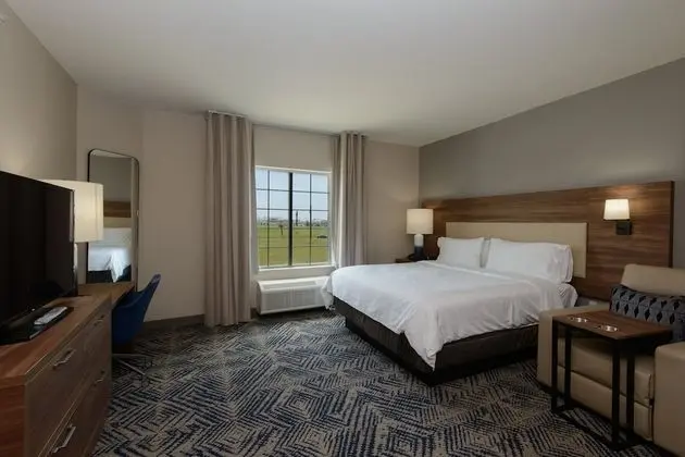 Stüdyo Süit, 1 En Büyük (King) Boy Yatak