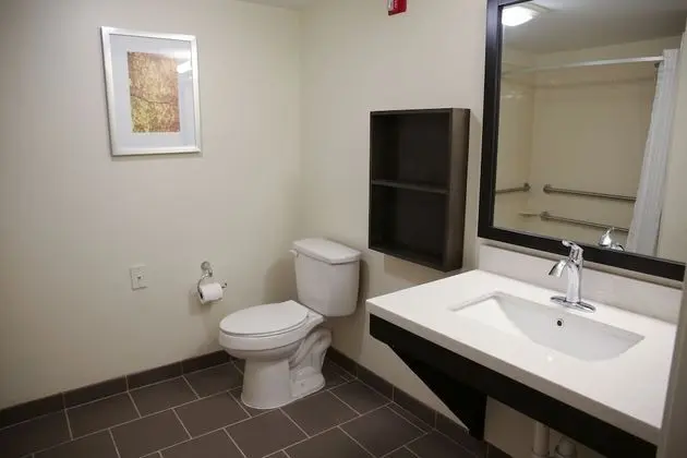 Stüdyo Süit, 1 Büyük (Queen) Boy Yatak, Engellilere Uygun (Communication, Accessible Tub)