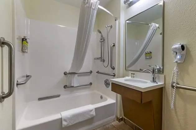 Stüdyo Süit, 1 Büyük (Queen) Boy Yatak, Engellilere Uygun (Accessible Tub)