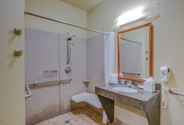 Süit, 1 Yatak Odası, Engellilere Uygun (Mobil Tub)