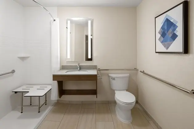 Stüdyo Süit, 1 En Büyük (King) Boy Yatak, Engellilere Uygun (Mobility)