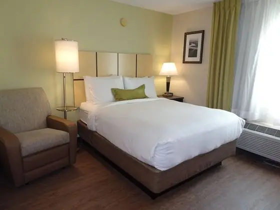 Stüdyo Süit, Mutfak (Bed Type Assigned at Check-In)