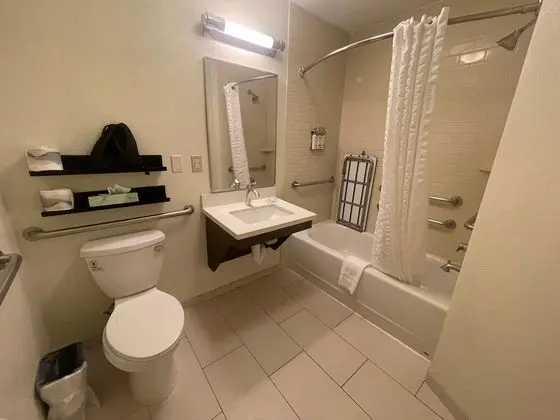 Stüdyo Süit, 1 Büyük (Queen) Boy Yatak, Engellilere Uygun (Mobility, Accessible Tub)