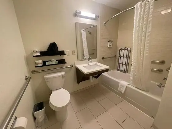 Stüdyo Süit, 1 Büyük (Queen) Boy Yatak, Engellilere Uygun (Mobility, Accessible Tub)