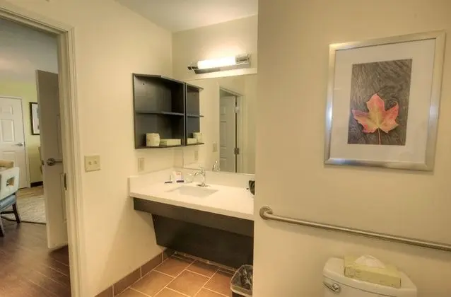 Stüdyo Süit, 1 Büyük (Queen) Boy Yatak, Engellilere Uygun (Mobility Tub)
