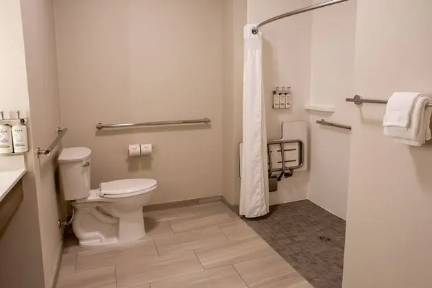 Standard Oda, 1 En Büyük (King) Boy Yatak, Engellilere Uygun (Roll-In Shower)