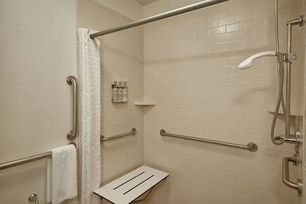Stüdyo Süit, 1 Büyük (Queen) Boy Yatak, Engellilere Uygun (Roll-In Shower)