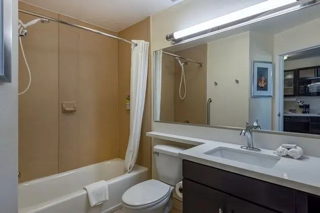 Süit, 1 Yatak Odası, Mutfak (1 King, Living Area)