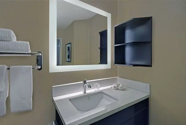 Stüdyo Süit, 1 En Büyük (King) Boy Yatak, Engellilere Uygun (Mobil Tub)