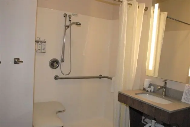 Stüdyo Süit, 1 En Büyük (King) Boy Yatak, Engellilere Uygun (Mobility, Roll In Shower)