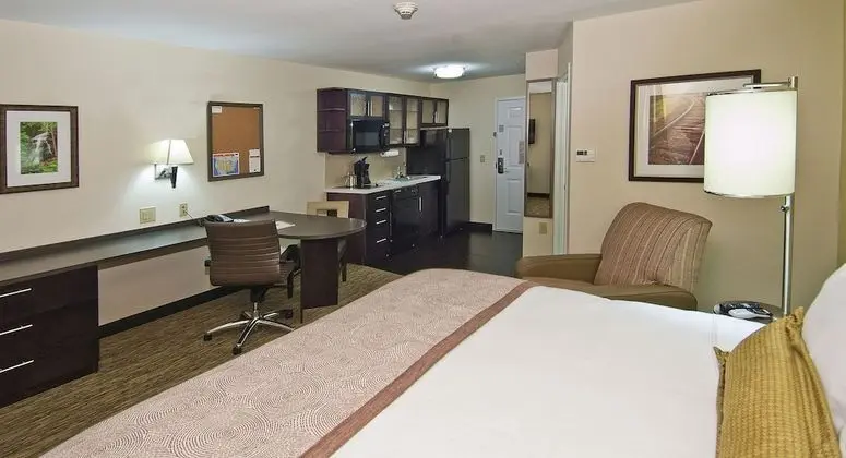 Stüdyo Süit, 1 En Büyük (King) Boy Yatak (Walk-In Shower)