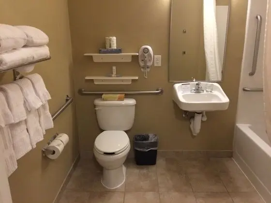 Stüdyo Süit, 2 Büyük (Queen) Boy Yatak, Engellilere Uygun (Comms Accessible. Roll-In Shower)