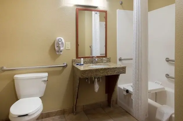 Stüdyo Süit, 1 Büyük (Queen) Boy Yatak, Engellilere Uygun (Mobility Tub)