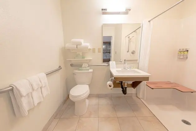 Stüdyo Süit, 1 Büyük (Queen) Boy Yatak, Engellilere Uygun (Mobility Tub)