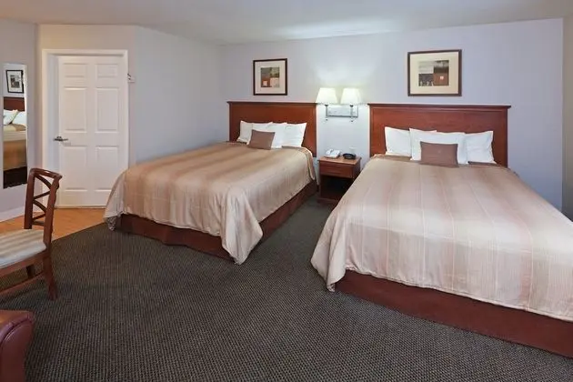 Stüdyo Süit, 1 En Büyük (King) Boy Yatak