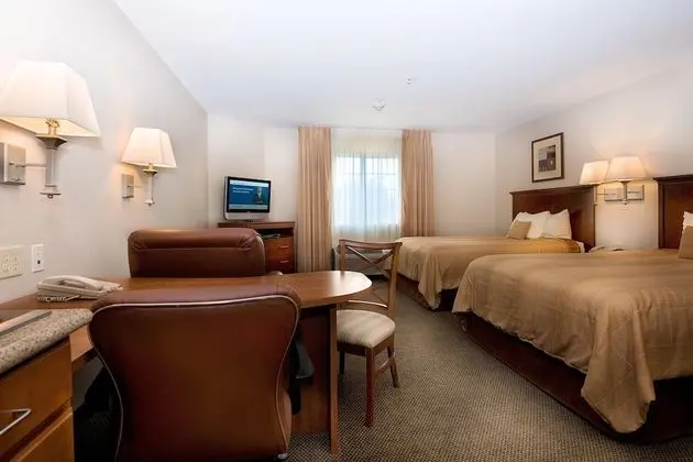 Stüdyo Süit, 1 En Büyük (King) Boy Yatak