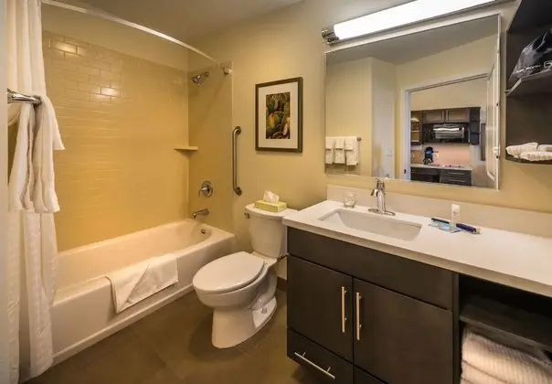 Stüdyo Süit, 1 Büyük (Queen) Boy Yatak, Engellilere Uygun (Roll-In Shower)