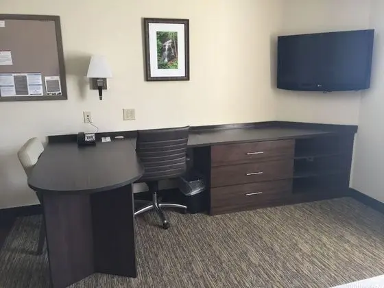 Stüdyo Süit, 1 Büyük (Queen) Boy Yatak