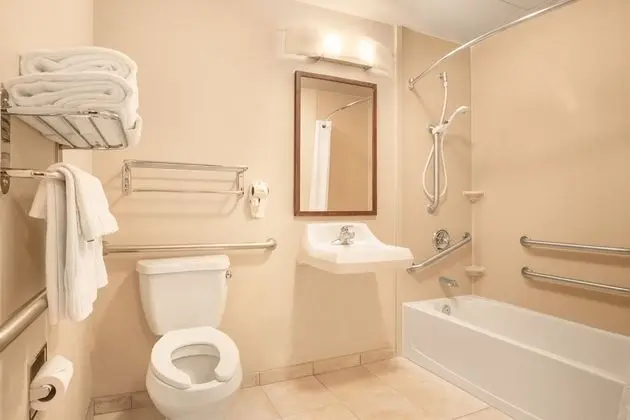 Süit, 1 Yatak Odası, Engellilere Uygun (Comm, Mobil)