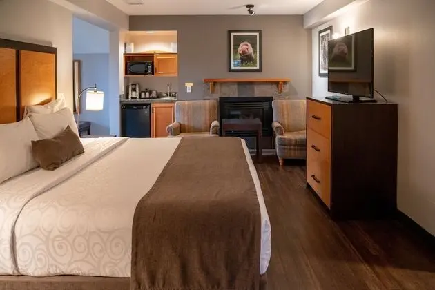 Deluxe Tek Büyük Yataklı Oda (King Suite)