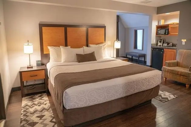 Deluxe Tek Büyük Yataklı Oda (King Suite)