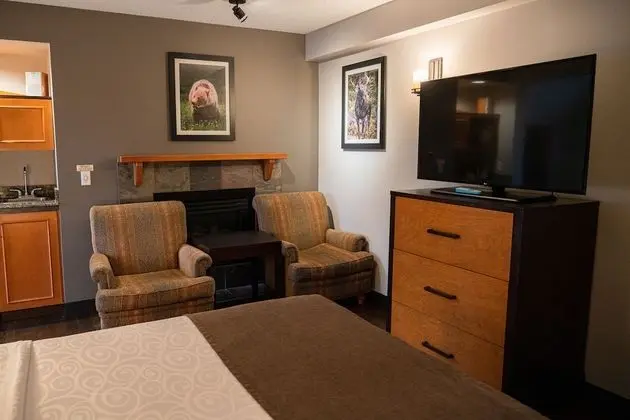 Deluxe Tek Büyük Yataklı Oda (King Suite)