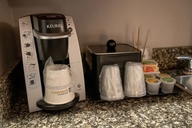 Deluxe Tek Büyük Yataklı Oda (King Suite)