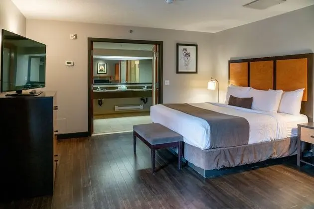 Exclusive Tek Büyük Yataklı Oda (King Suite)