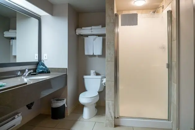Exclusive Tek Büyük Yataklı Oda (King Suite)