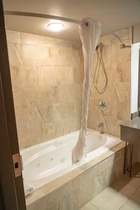Superior Tek Büyük Yataklı Oda (King Suite)