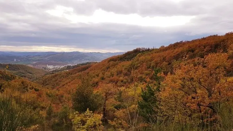 Family Apart Daire, 2 Yatak Odası