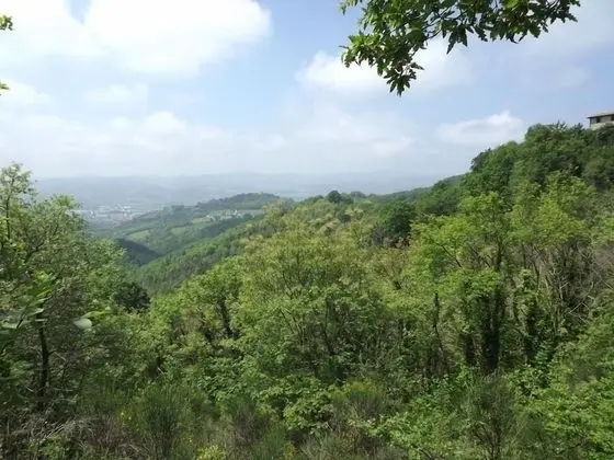 Superior Apart Daire, 1 Yatak Odası