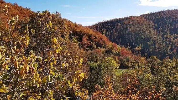 Superior Apart Daire, 1 Yatak Odası