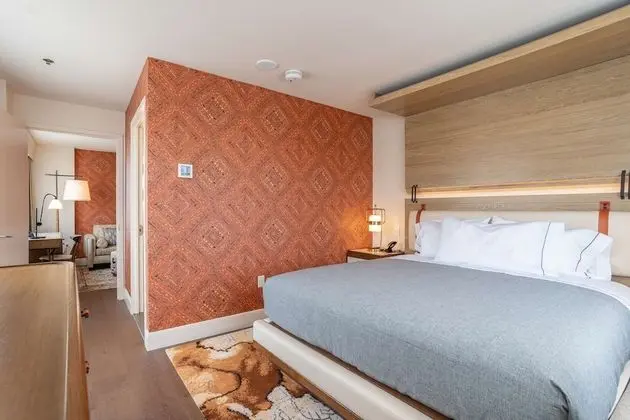 Deluxe Süit, 1 Yatak Odası
