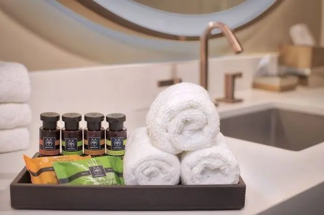 Deluxe Süit, 1 Yatak Odası