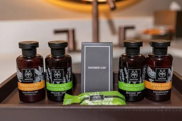 Premium Süit, 1 Yatak Odası