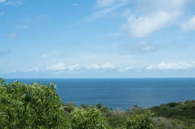 Panoramic Stüdyo, 1 Yatak Odası