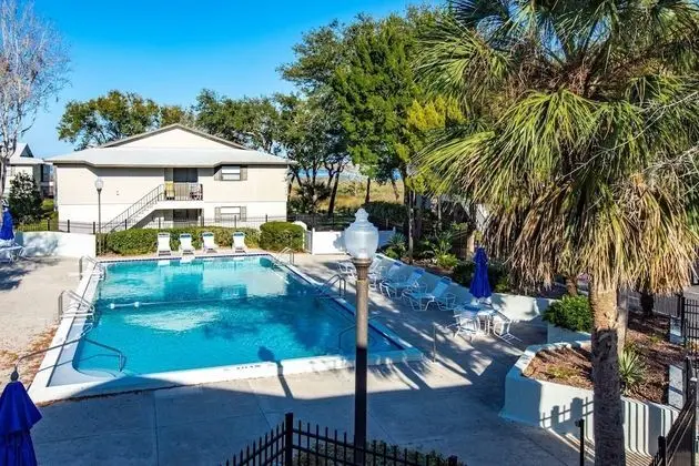 Daire (Canopy Shore)