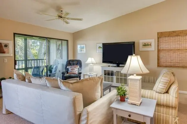 Daire (Canopy Shore)