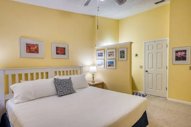 Daire (Canopy Shore)